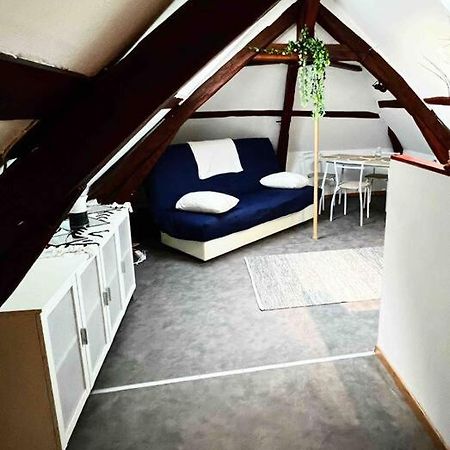 Апартаменты Tres Beau Studio Mansarde, Centre De Бурж Экстерьер фото
